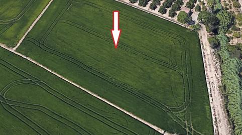 Photo 5 of Industrial buildings for sale in Vía Pista, 58, Sueca ciudad, Valencia