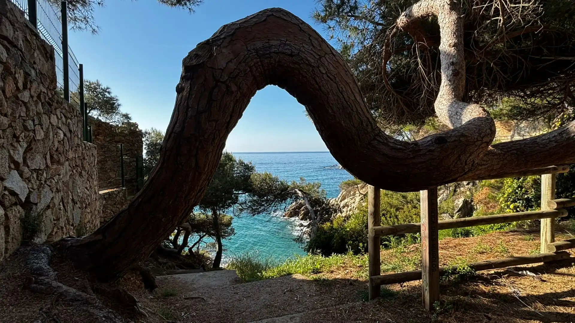 Garten von Wohnungen zur Miete in Calonge i Sant Antoni mit Klimaanlage, Parkett und Terrasse