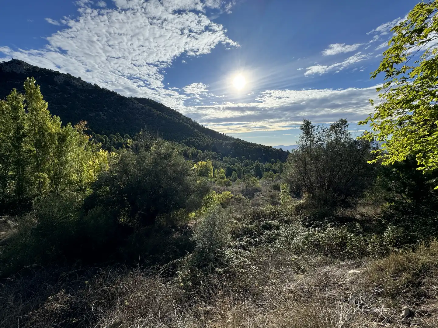 Terreny rústic en venda a Caravaca de la Cruz, imagen 25