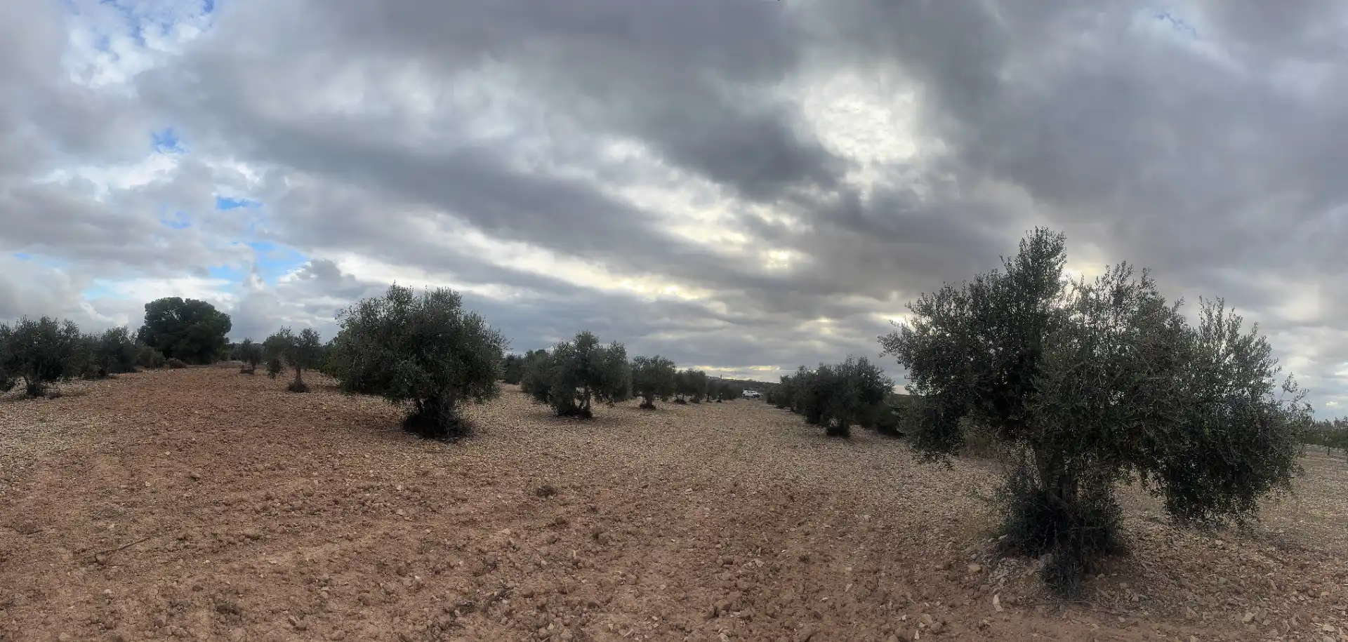 Terreny rústic en venda a Sant Martí de Riucorb, imagen 8
