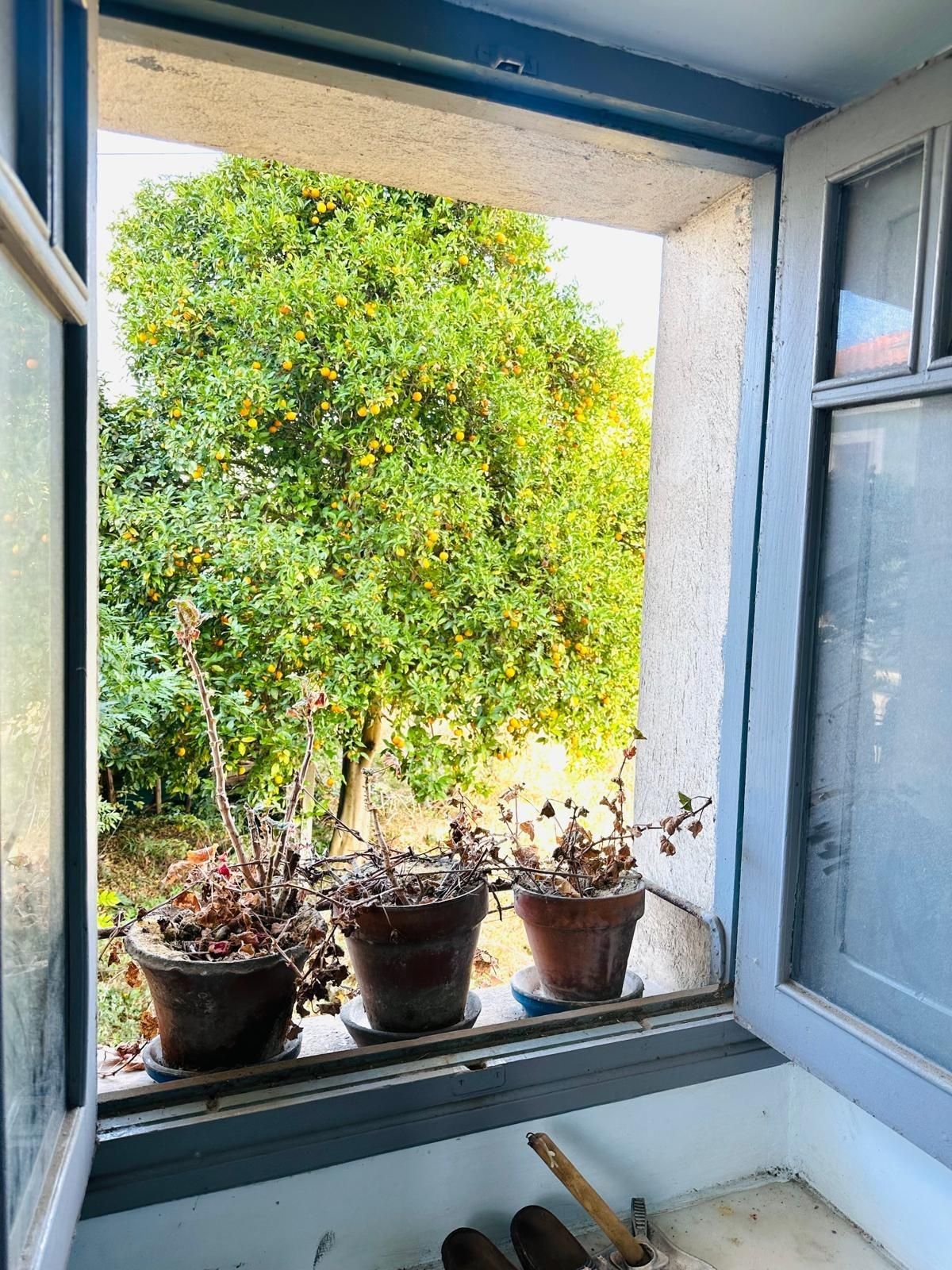 Terraza de Casa o chalet en venta en Salas con Calefacción, Jardín privado y Terraza