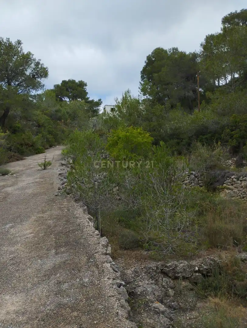 Casa o xalet en venda en El Montmell
