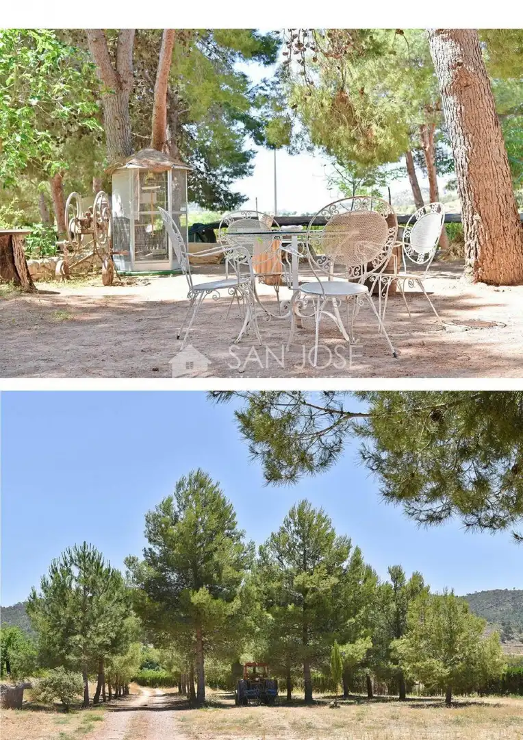 Terraza de Finca rústica en venta en El Pinós / Pinoso con Jardín privado, Piscina y Amueblado
