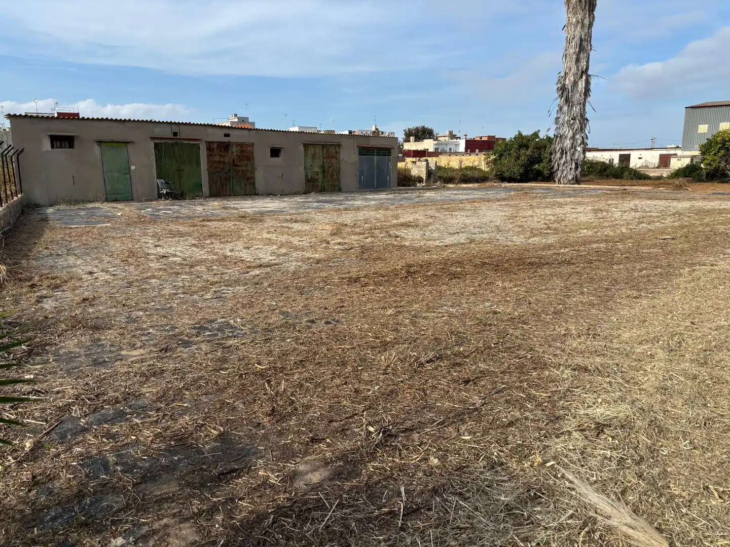 Rural land for sale in Sueca ciudad, imagen 7