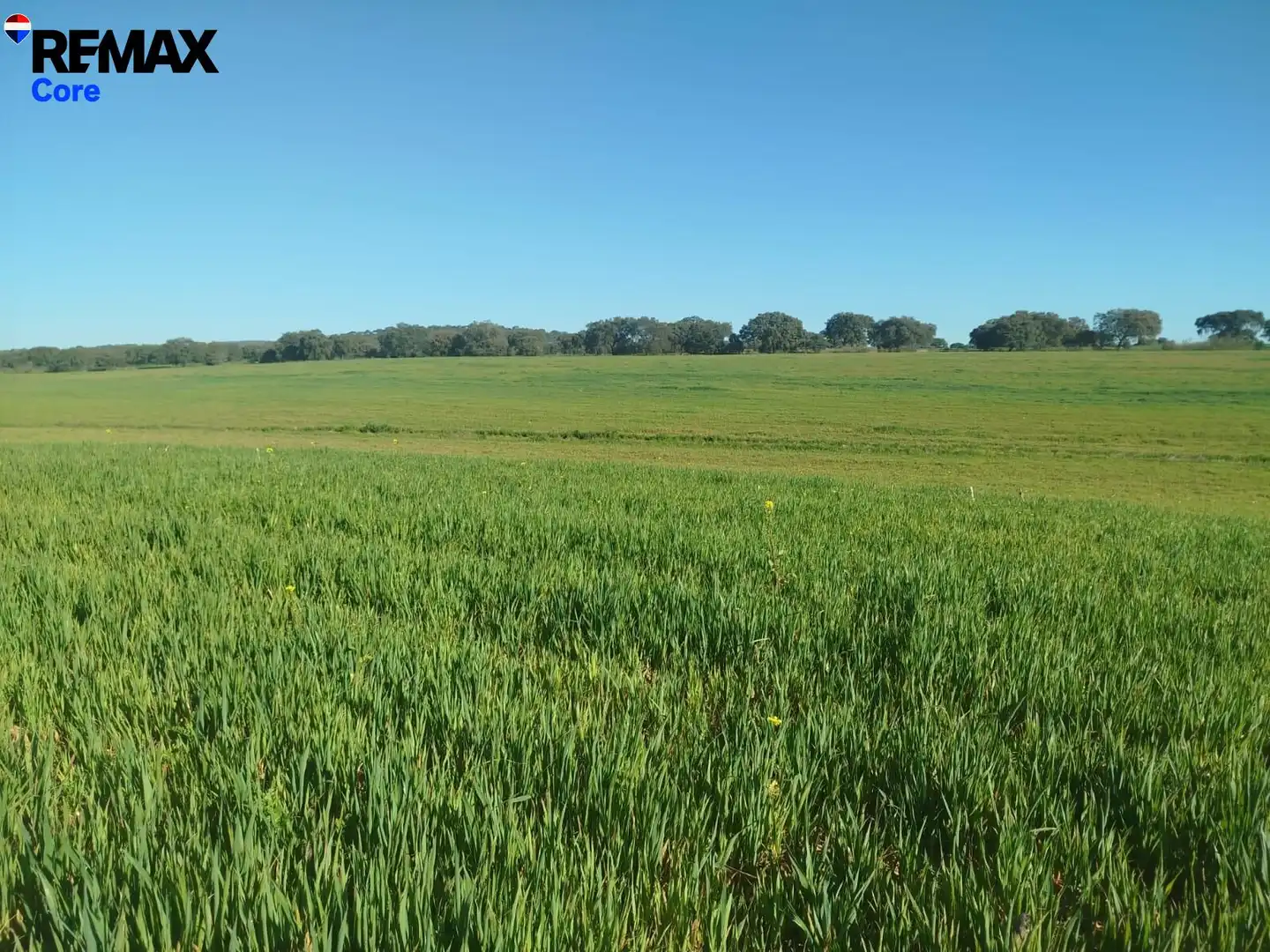 Land for sale in Mérida
