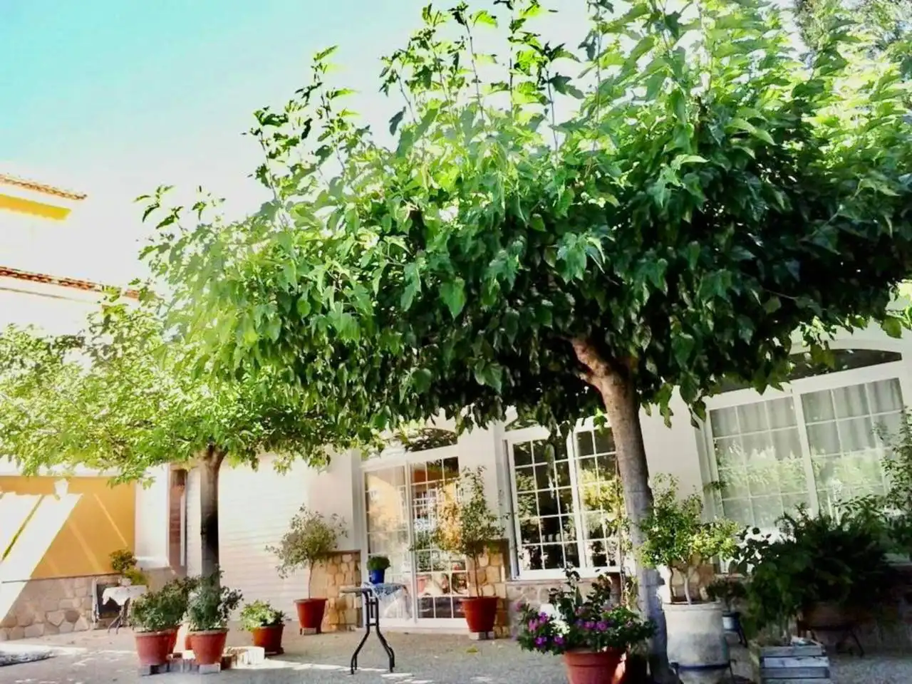 House with pool for sale in Calle Cádiz, imagen 5