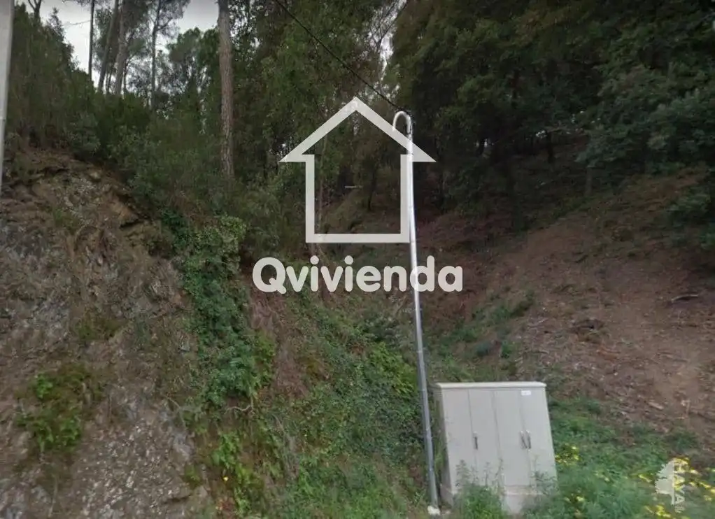 Terreny rústic en venda a COVA DEL DRAC, imagen 4