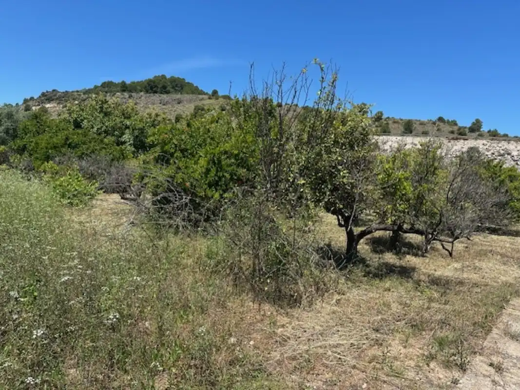 Terreno en venta en La Font d'en Carròs