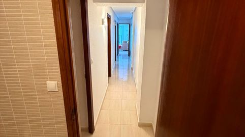 Foto 5 de Piso de alquiler en Playa de los Náufragos, Torrevieja