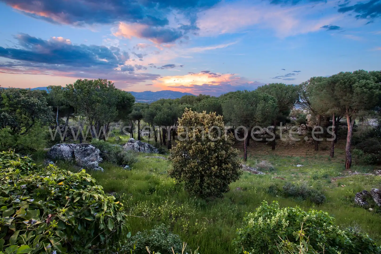 Casa o chalet en venta en Puerto de Galapagar - Las Cuestas