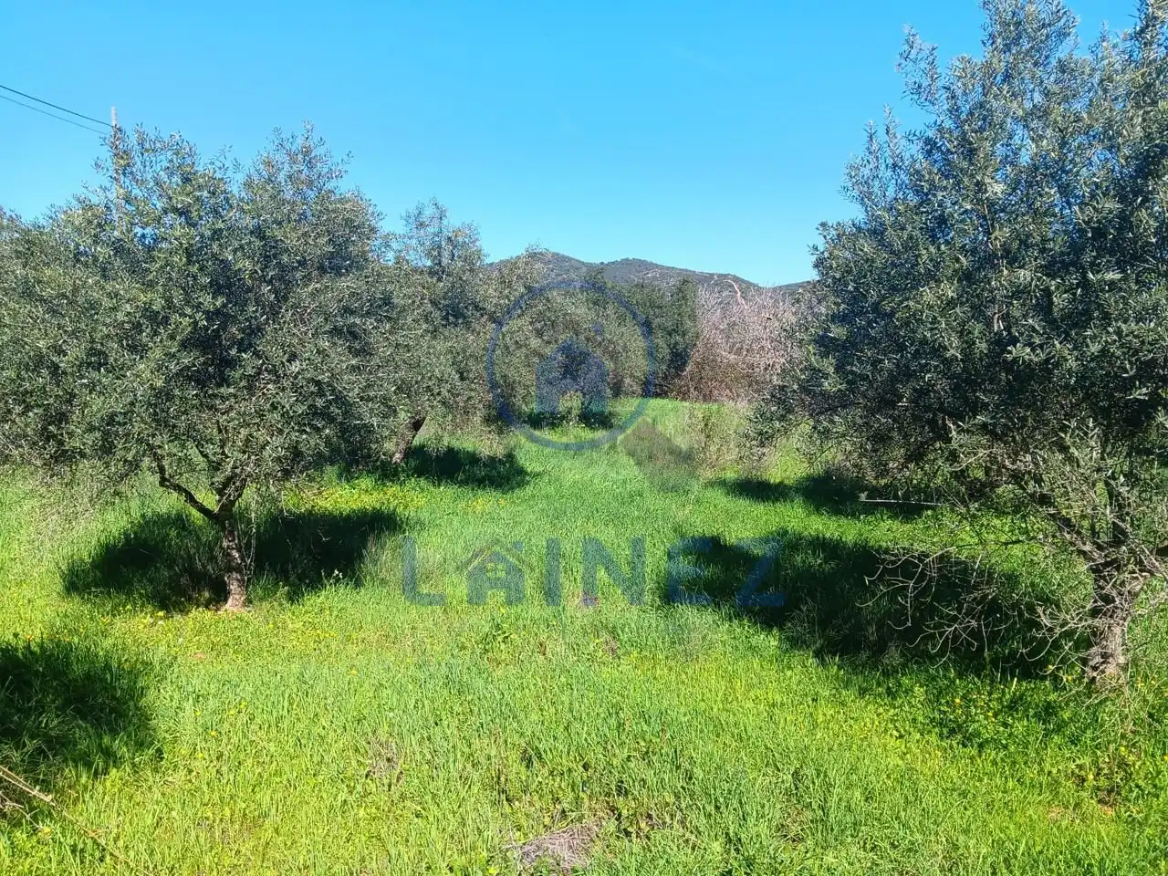 Lands and plots for sale in Belmez, imagen 2