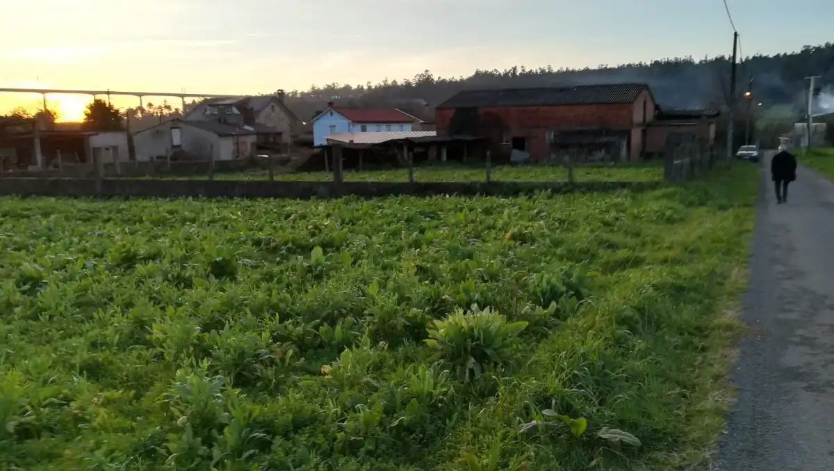 Terreni e lotti in vendita a Lugar NOENLLE, imagen 3