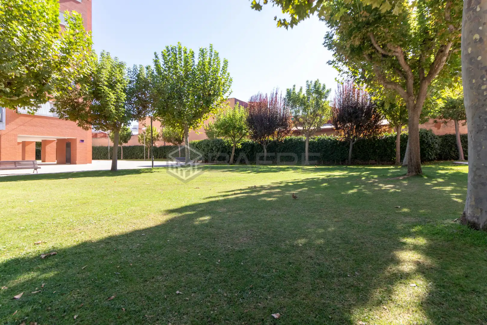 Jardí de Àtic en venda en Madrid amb Aire condicionat, Jardí privat i Parquet