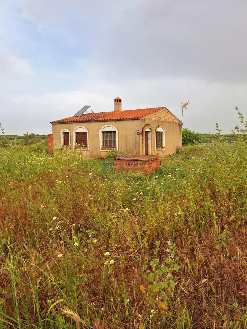 Casa o chalet en venta en Bollullos Par del Condado