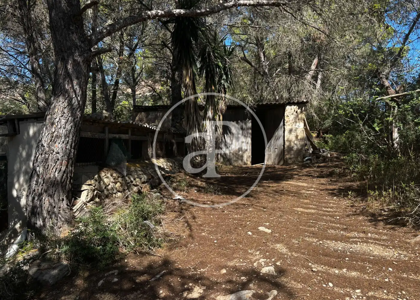 Wohnbaugrundstück zum Verkauf in Llucmajor pueblo, imagen 17