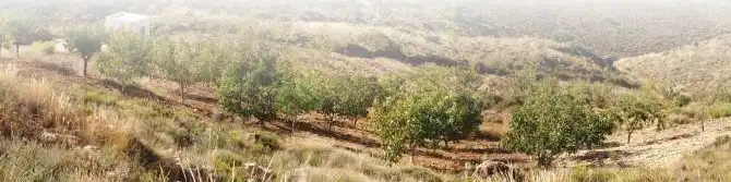 Finca rústica en venta en Felix