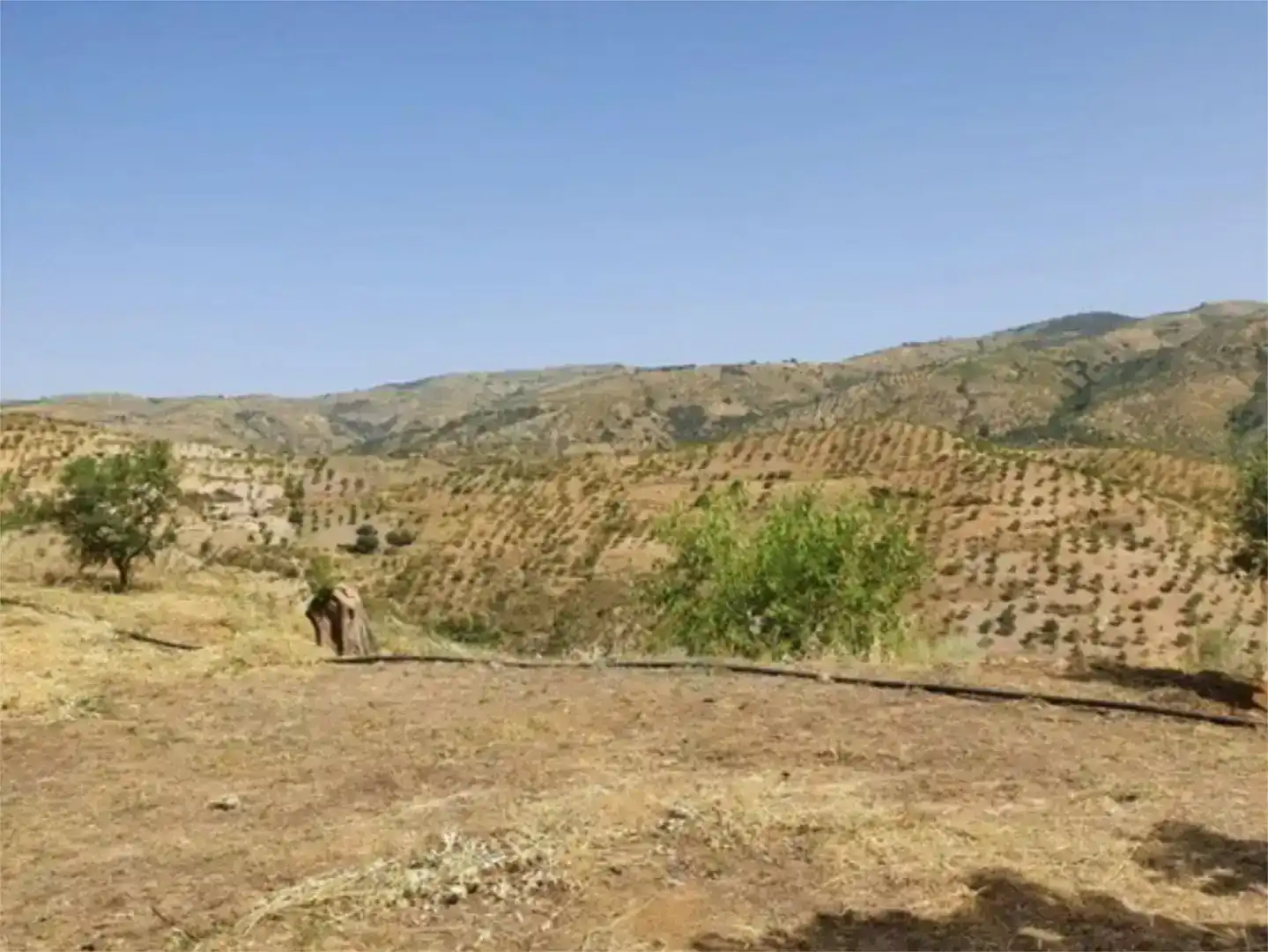 Finca rústica en venda en Cádiar