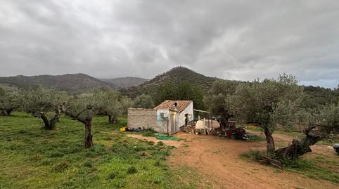 Foto 3 de Finca rústica en venta en Alfara de Carles, Tarragona