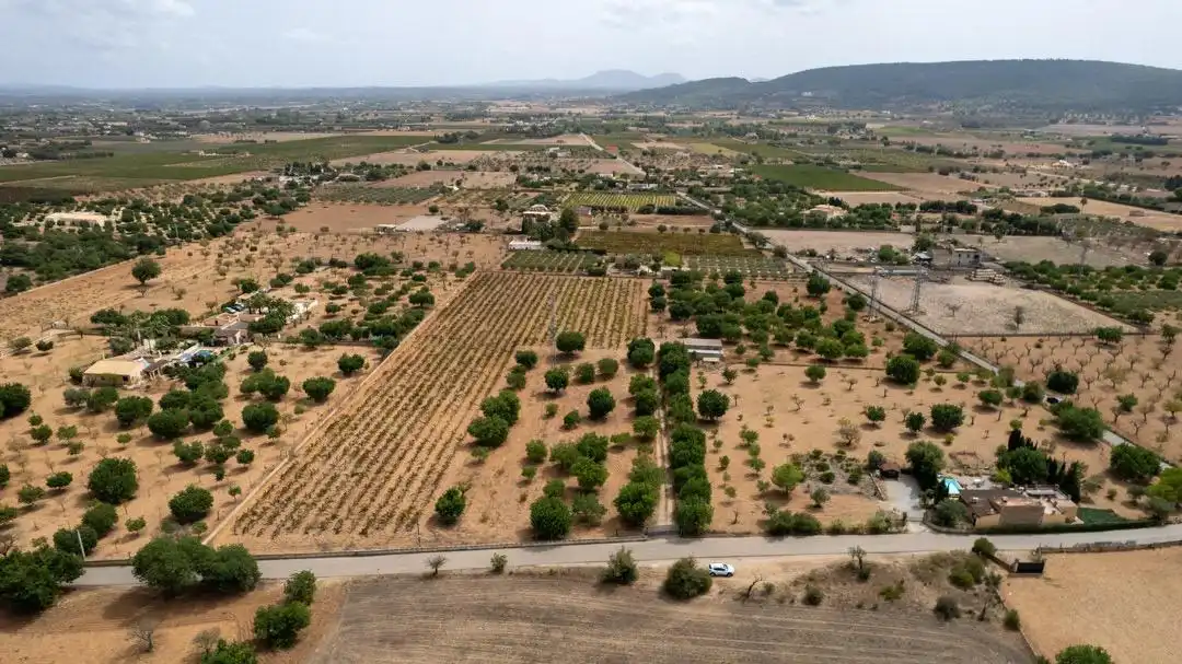 Land for sale in Consell