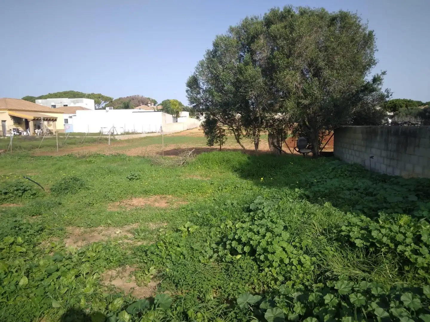 Terrenys i solars en venda a Las Lagunas - Campano, imagen 10