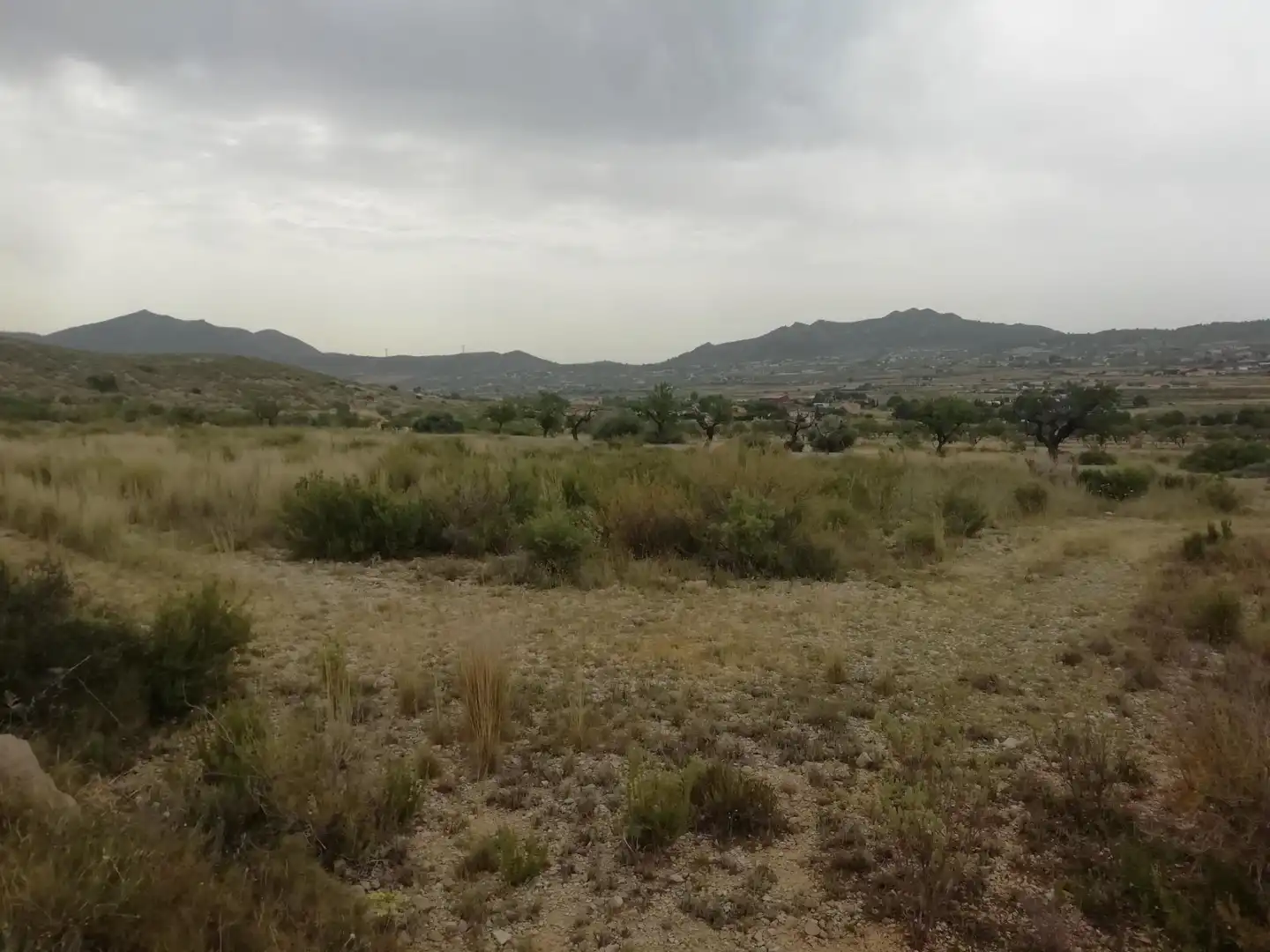 Terreno rustico in vendita a Hondón de los Frailes, imagen 4