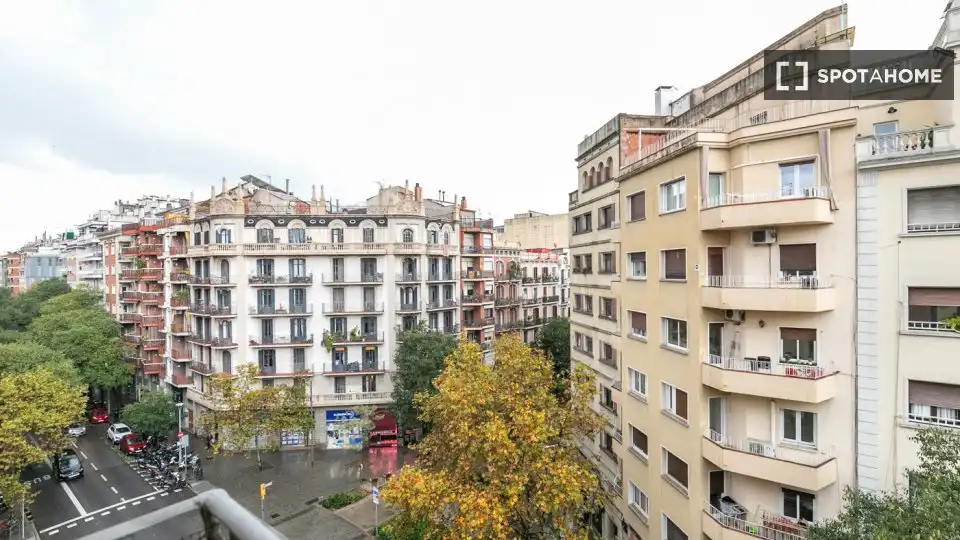 Room in Sant Antoni