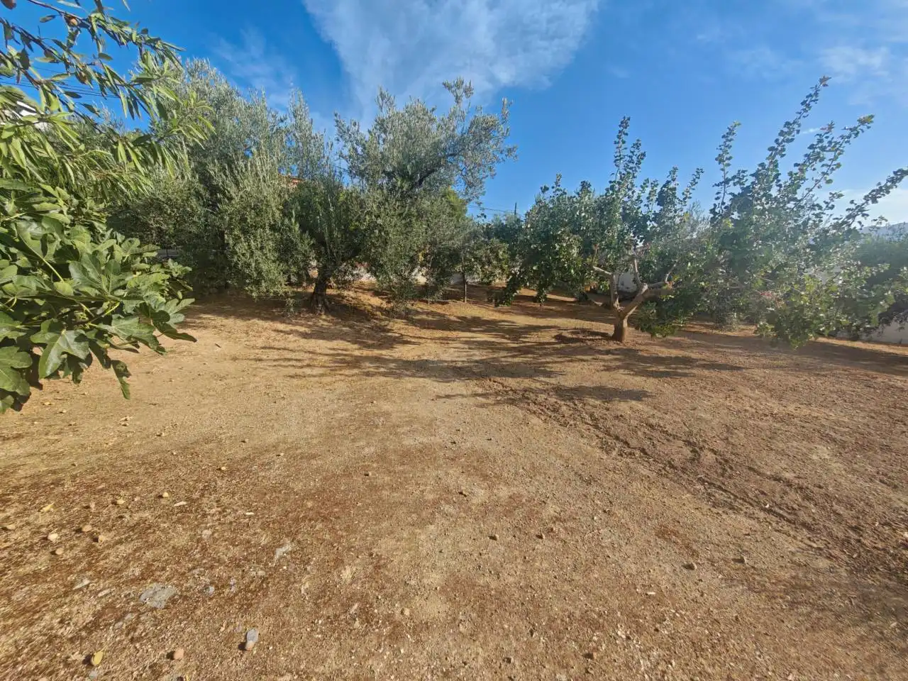 Xalet amb jardí en venda a Loja, imagen 6