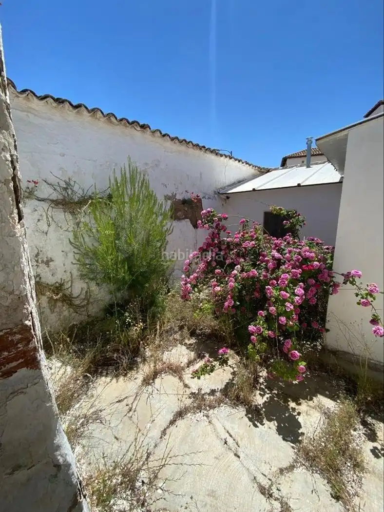 Vivienda con jardín en venta en Avenida Generalisimo 1