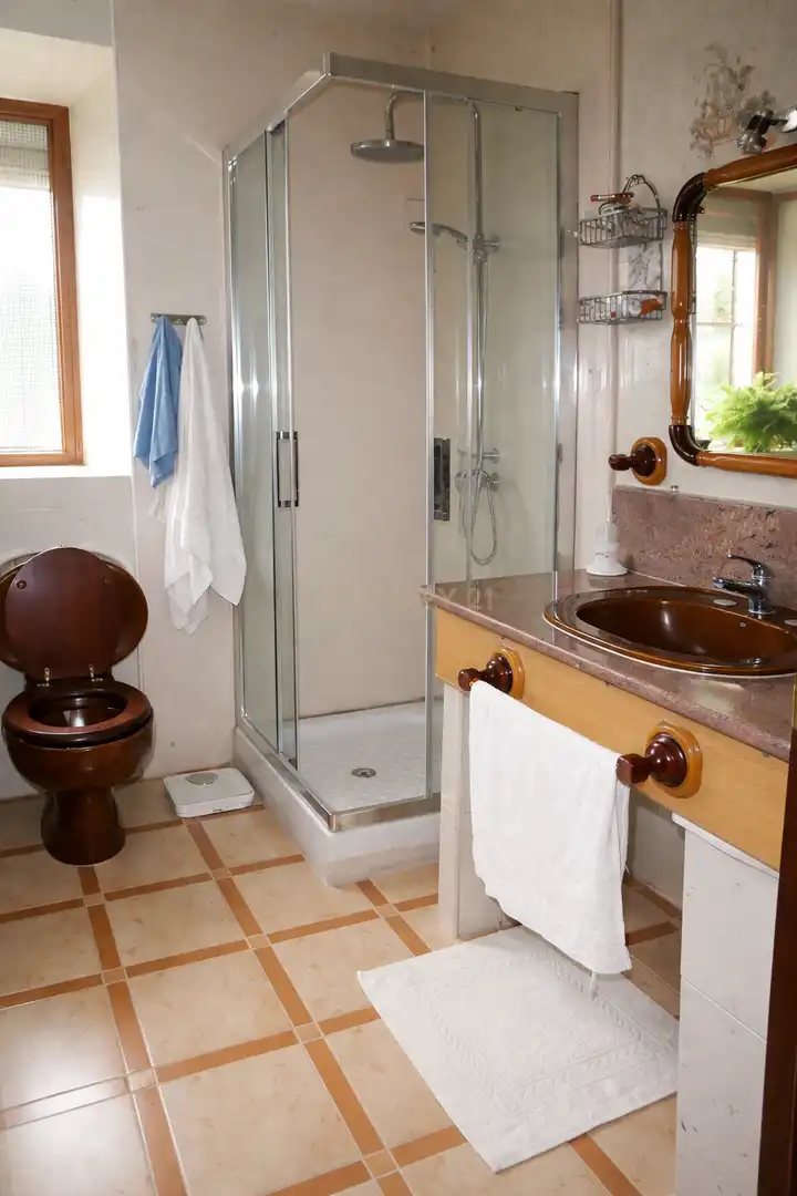 Baño de Casa o chalet en venta en Zafra con Jardín privado, Trastero y Piscina