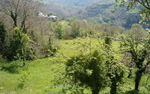 Jardín de Finca rústica en venta en As Nogais 