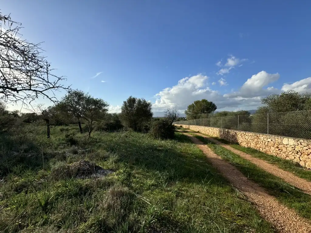 Terreny rústic en venda a Sa Cabaneta, imagen 2