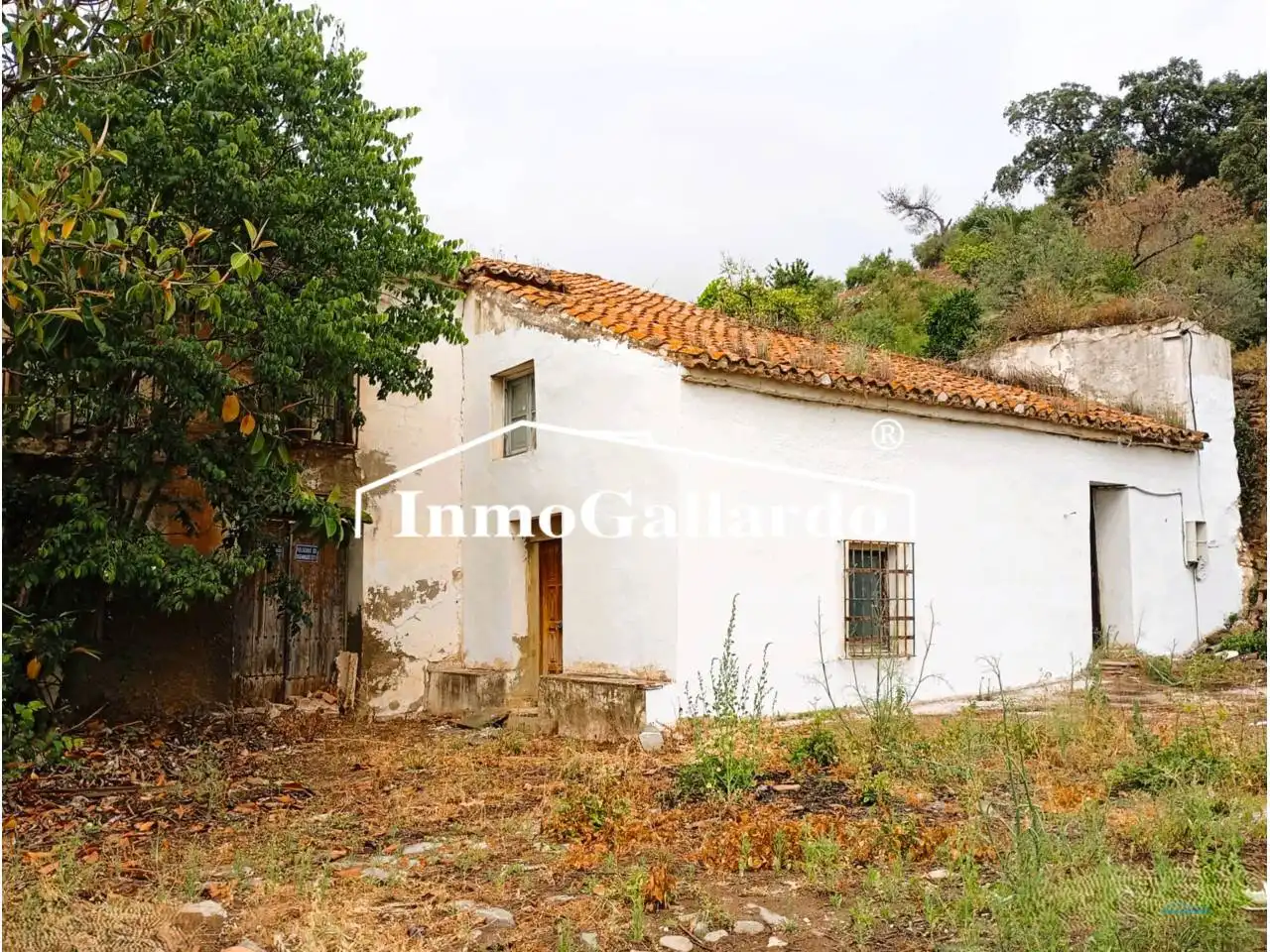 Casa rústica en venta en Este, imagen 4