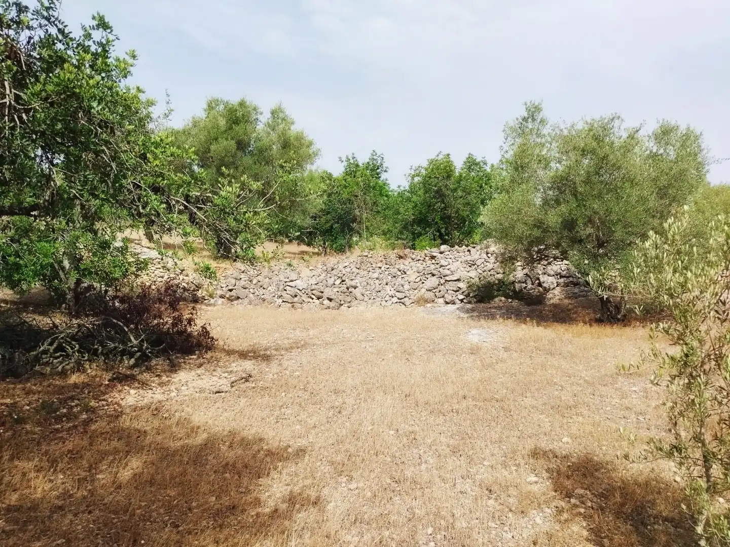 Terrain rustique à vendre à Aldover, imagen 26