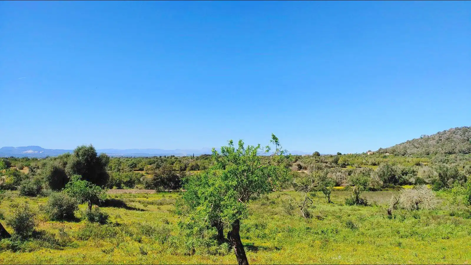 Residential land for sale in Polígono Polígono 33 Parcela 436, imagen 3