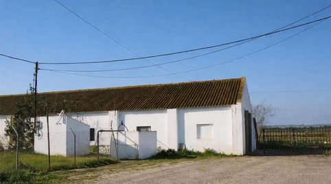Foto 4 de Finca rústica en venda a Carretera Sevilla, 3, San Jerónimo - La Bachillera, Sevilla Capital