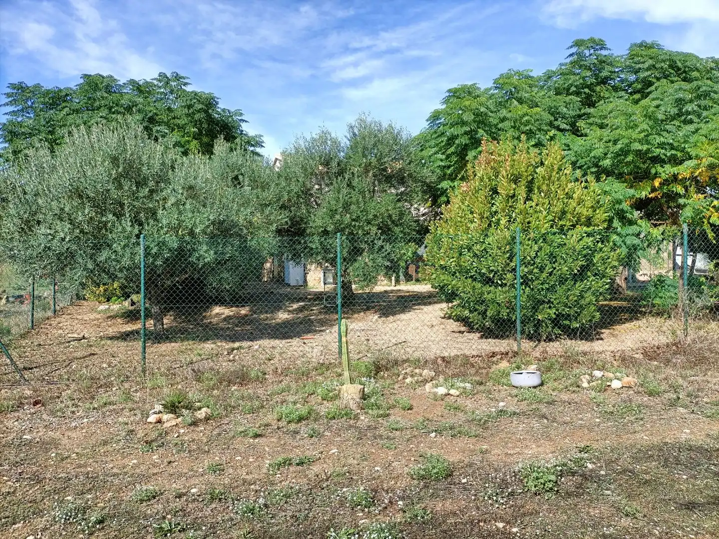 Landhaus mit Garten zum Verkauf in Camí Sant Grau 1, imagen 13