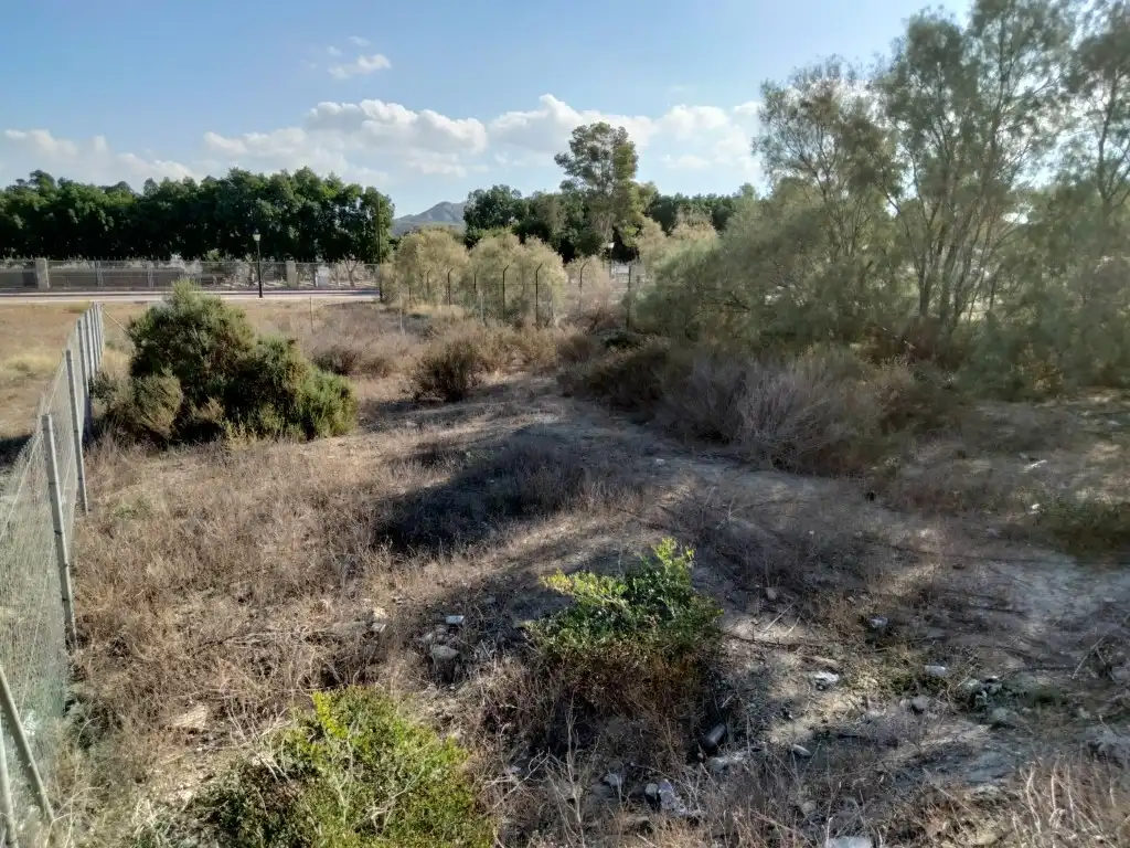 Terrenys i solars en venda a Cuevas del Almanzora pueblo, imagen 4