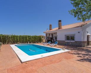 Swimming pool of House or chalet to rent in Coín  with Air Conditioner, Terrace and Swimming Pool