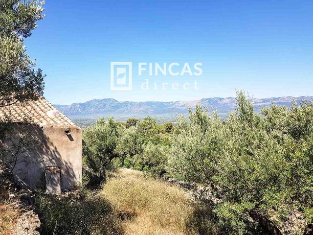 Finca rústica en Venta en VH23+MW4 en Bítem