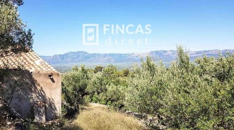 Finca de Montaña en Bítem, Tortosa Olivares, Casita, Vistas Inmejorables
