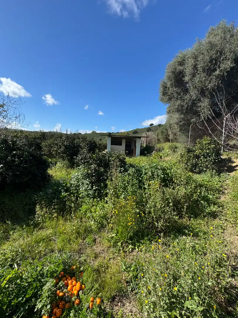 Land for sale in Algeciras