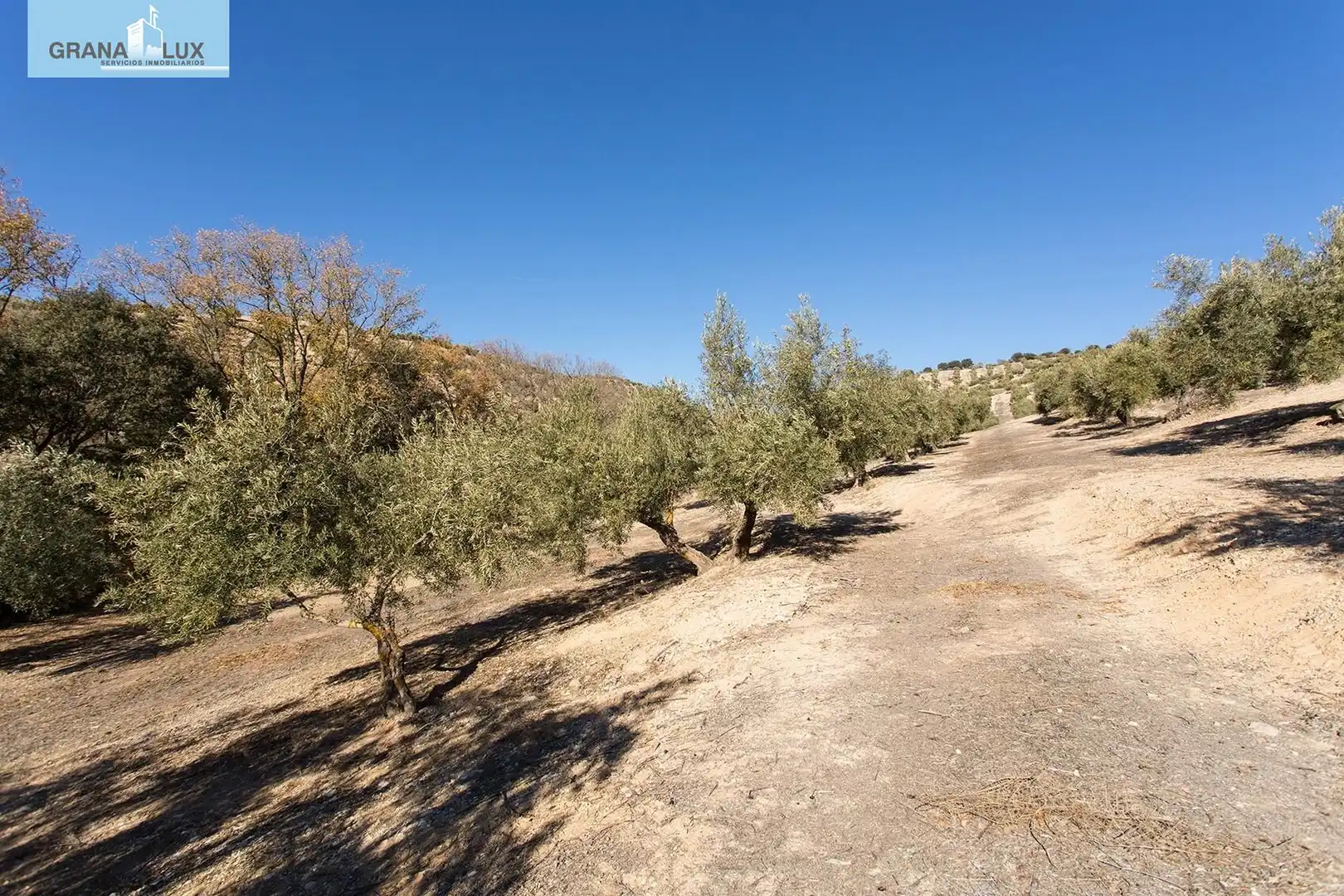 Land for sale in Campotéjar