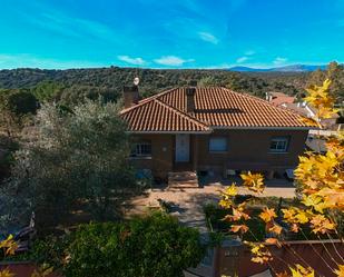 Vista exterior de Casa o xalet en venda en Navalagamella amb Calefacció, Jardí privat i Terrassa