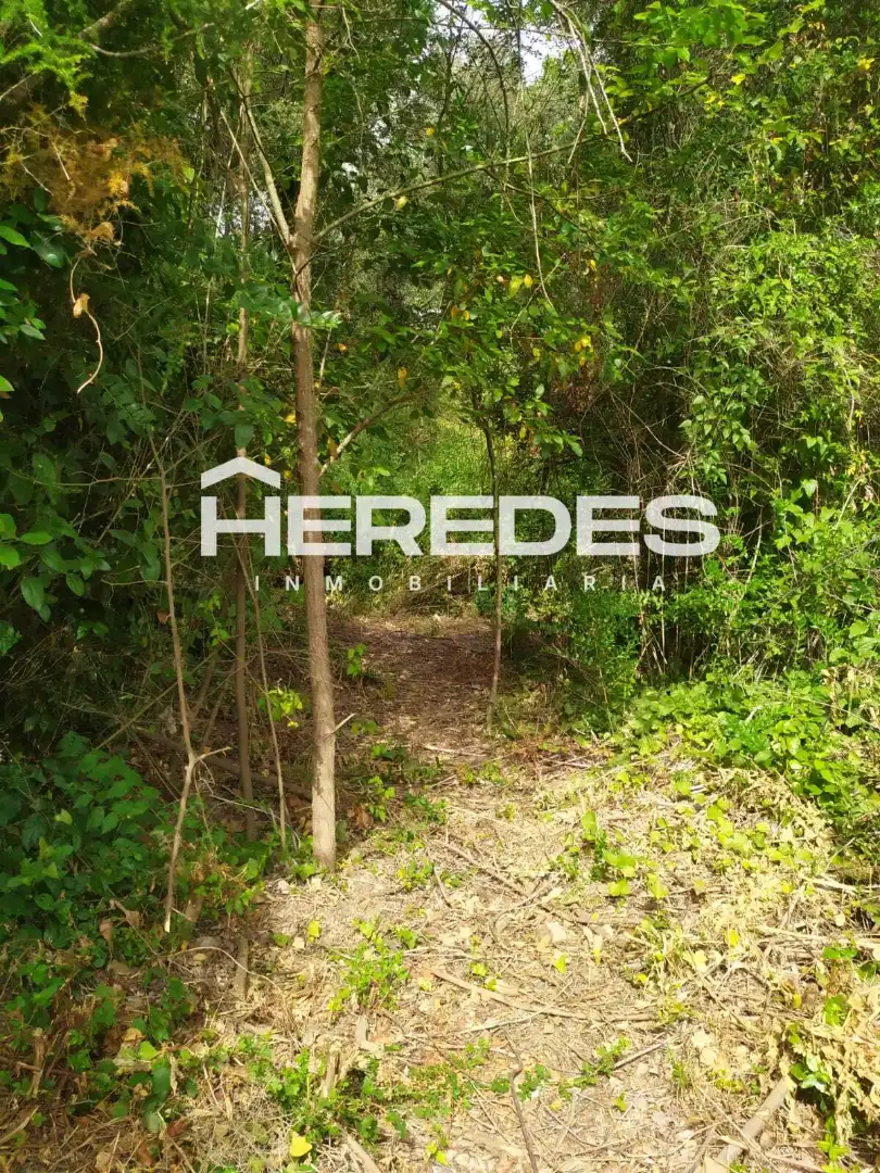 Terreno residencial en venta en Carrer Finestrelles 8, imagen 17
