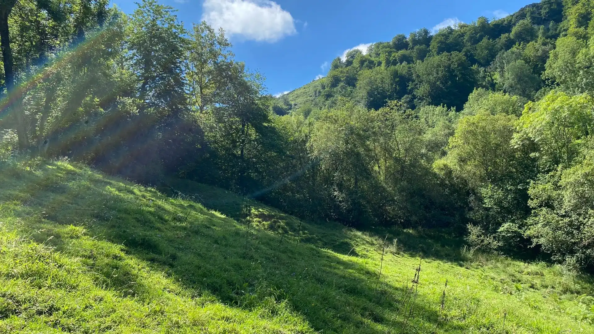 Terreno en venta en PRIESCA, Ponga