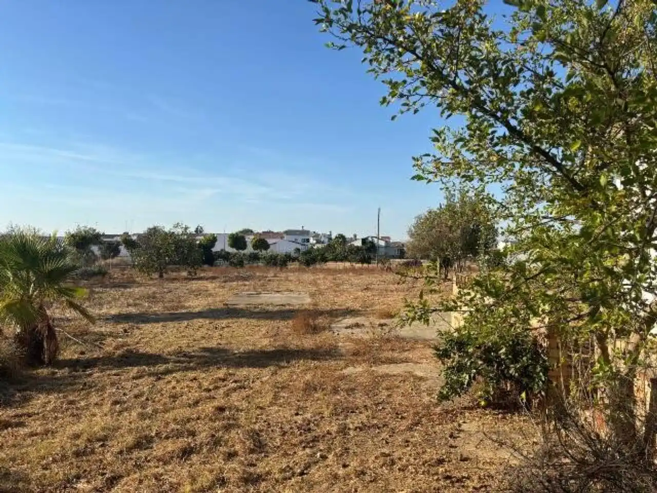 Haus mit Garten zum Verkauf in San Bartolomé de la Torre, imagen 18