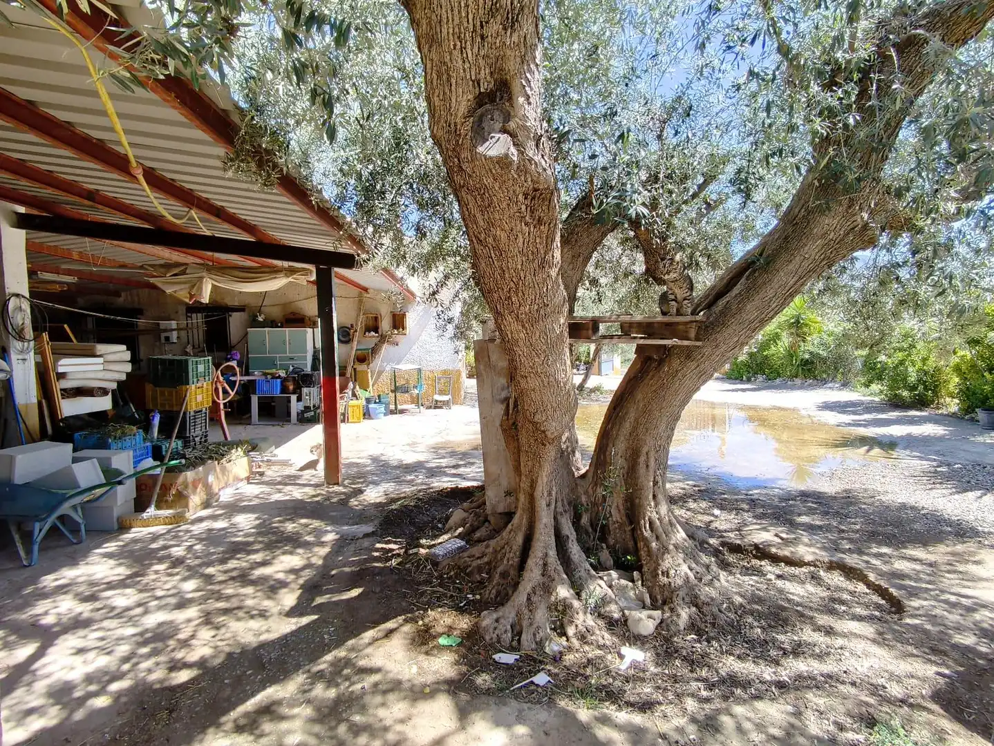 Finca rústica en venta en Vélez-Blanco con Aire acondicionado, Calefacción y Jardín privado