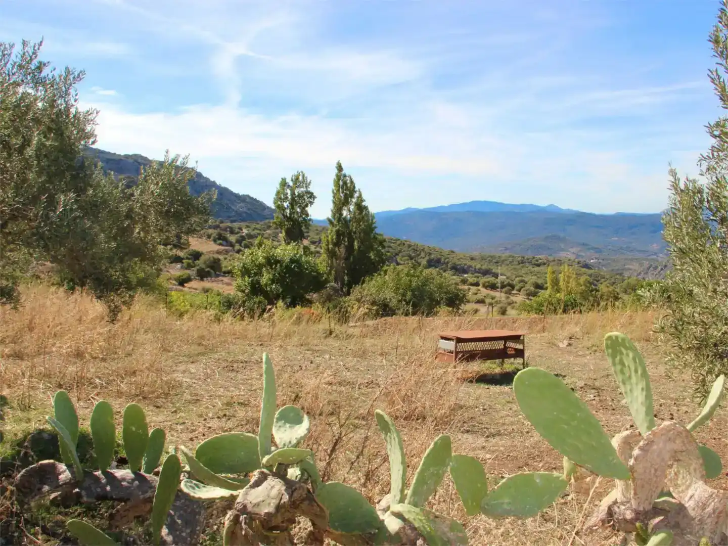 Piso en venta en Benaocaz con Jardín privado, Trastero y Piscina