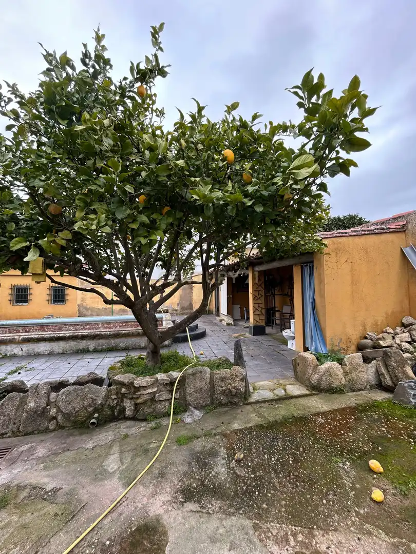 Immobles singulars en venda a Av. Monfragüe, 53, Trujillo, Spain, imagen 43