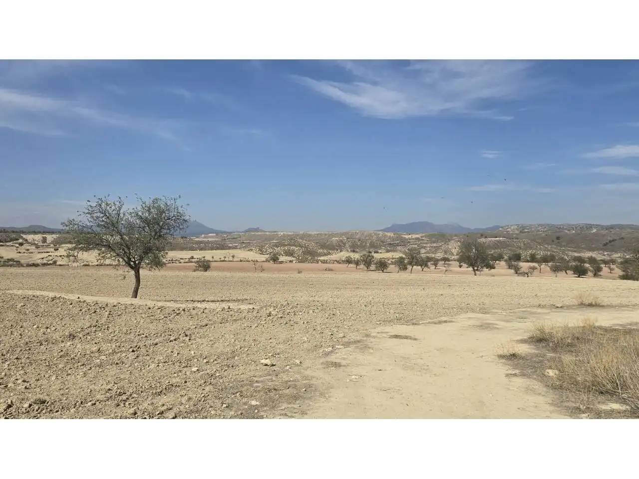 Terreno en venta en Carretera Parroquia, 1, Ortillo